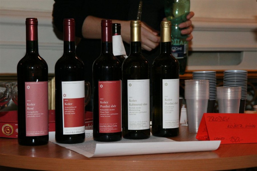 TEPLICKÝ CIMES - DNY ŽIDOVSKÉ KULTURY 2011